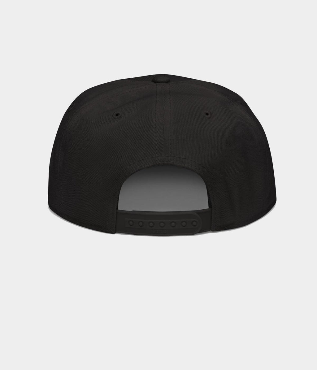NOT A DJ SNAPBACK.