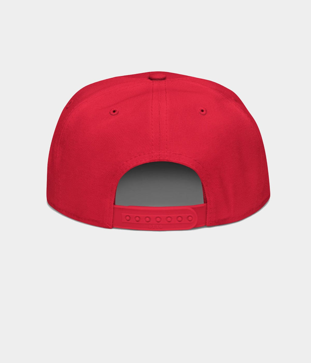 NOT A DJ SNAPBACK.