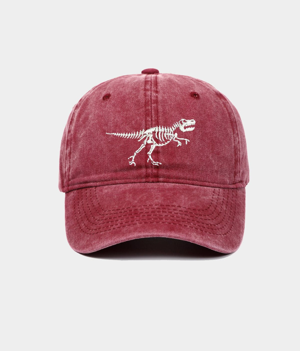 WASHED DINOSAUR.