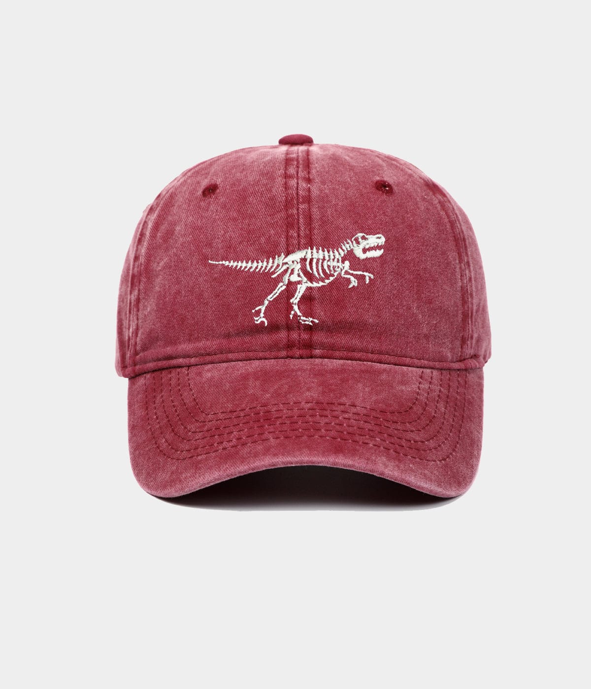 WASHED DINOSAUR.