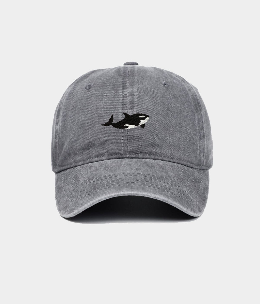 WASHED KILLER WHALE.