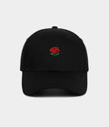 ROSA.